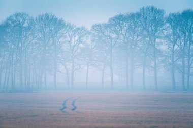 Lastik izleri puslu çayırda 
