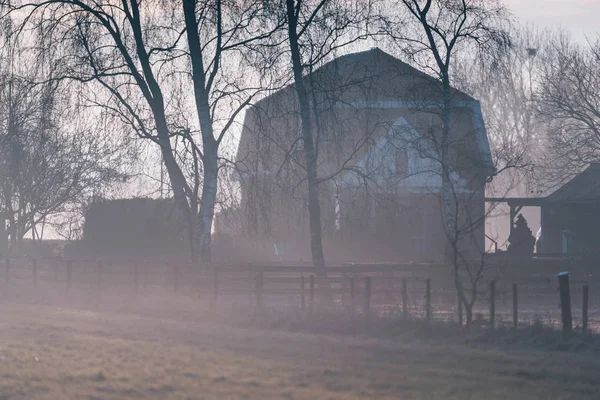 Dům za zimní stromy — Stock fotografie