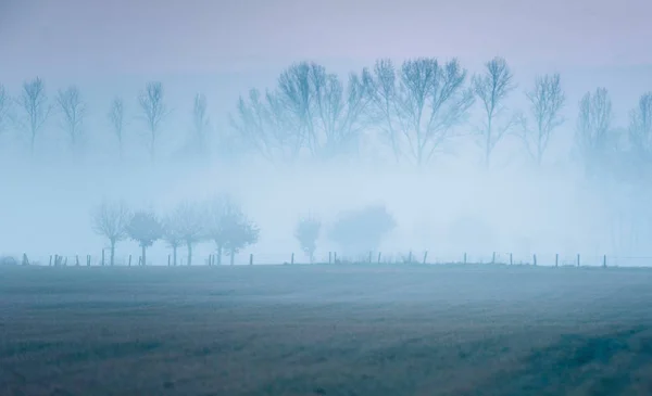 Ködös holland vidéki táj — Stock Fotó