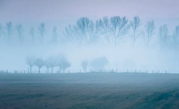 Misty ολλανδικό αγροτικό τοπίο — Φωτογραφία Αρχείου