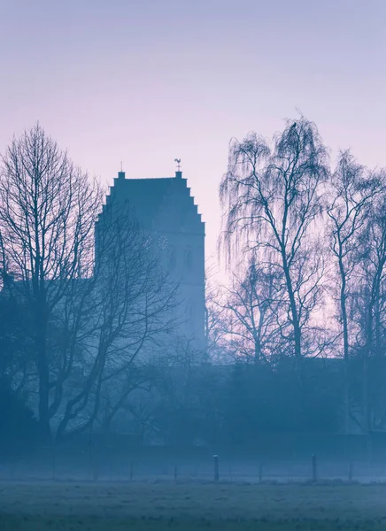 歴史的な教会と冬の木 — ストック写真