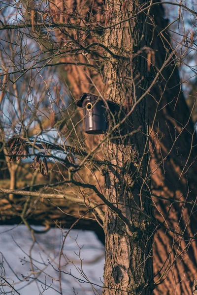 Plastic birdhouse on winter tree — Stock Photo, Image