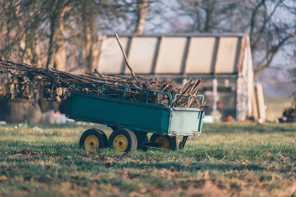 Carro de jardín con residuos vegetales — Foto de Stock