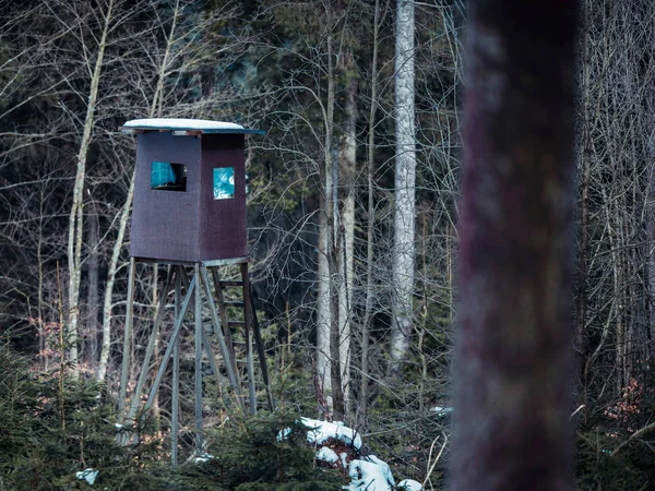 Hirschjagd im Winterwald — Stockfoto