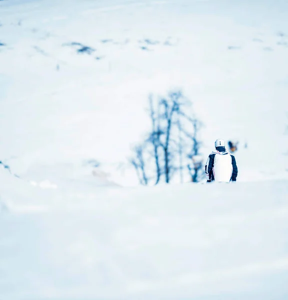 滑雪者下坡 — 图库照片