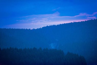 Çam ağacı orman ile Dağları 