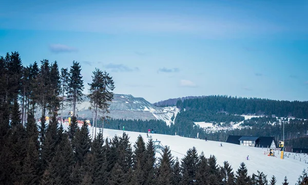 Zimní sporty krajina s borovicemi — Stock fotografie