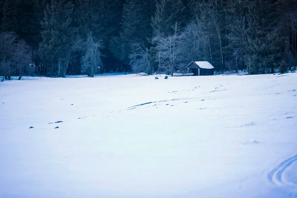 Declive nevado com galpão de madeira — Fotografia de Stock