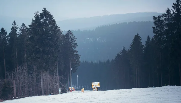 Ski slope with pine tree forest — Stock Photo, Image