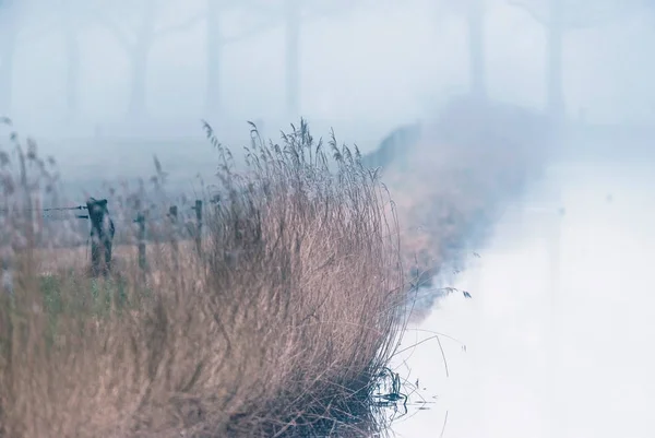 Fosa de niebla con caña —  Fotos de Stock