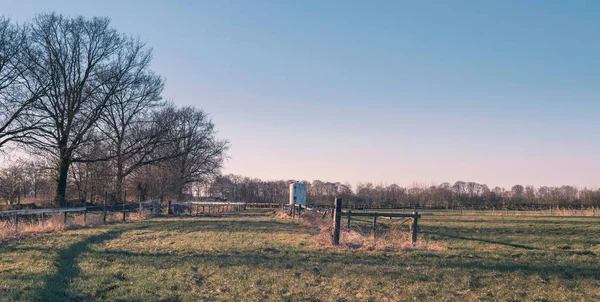 Vintage depolama tankı altında mavi ile Hollandalı güneşli kış tarım arazileri — Stok fotoğraf