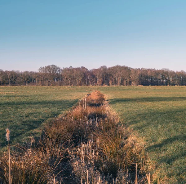 Zanja en el soleado paisaje rural invernal —  Fotos de Stock