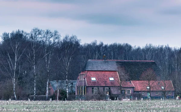 Starou farmu poblíž zimní les — Stock fotografie