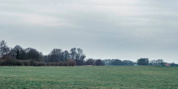Paisagem rural holandesa — Fotografia de Stock