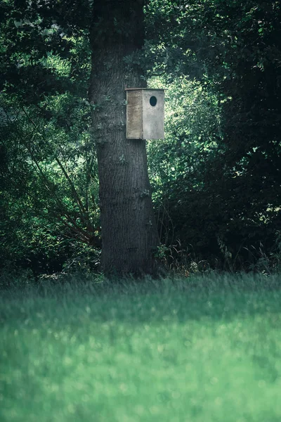 Wooden owls nesting box — Stock Photo, Image