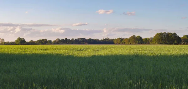 Rural landscape during spring — Stock Photo, Image