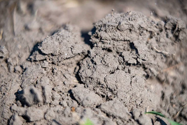 茶色の土の質 — ストック写真