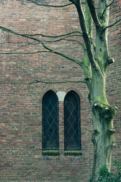 Parede de tijolo da igreja com janela e tronco de árvore na frente . — Fotografia de Stock