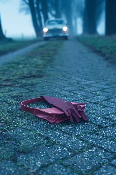 Gants pour dames rouges et sac à main sur la route de campagne pendant le crépuscule brumeux — Photo