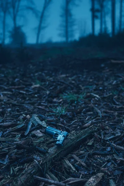 Pistolet perdu au sol dans une forêt hivernale brumeuse . — Photo
