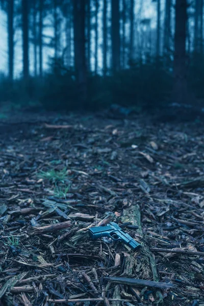 Pistola perdida en el suelo en el bosque de invierno brumoso . — Foto de Stock