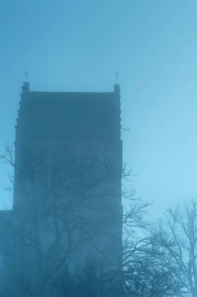 Antigua iglesia con árboles desnudos en la niebla durante el invierno . — Foto de Stock