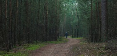 Karanlık köknar ormanlarında yürüyen bir kadın..