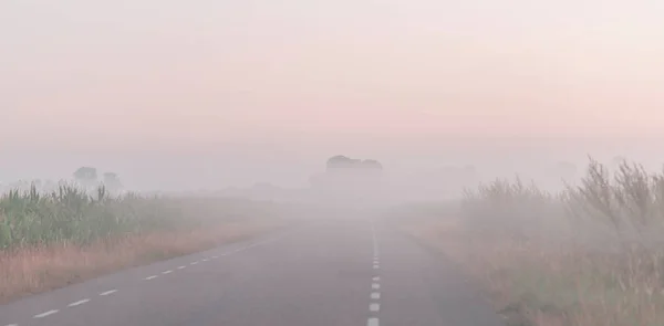 Road in misty rural landscape during spring. — Stock Photo, Image