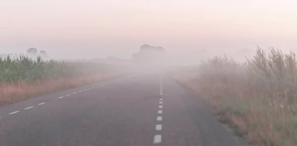 Route dans un paysage rural brumeux au printemps . — Photo