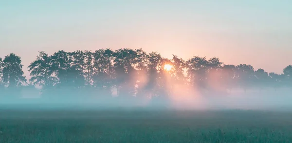 Sunbeams through trees in misty rural landscape at sunrise. — 스톡 사진