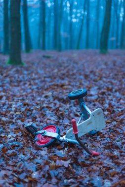 Kids tricycle in foggy winter forest  with brown fallen leaves. clipart