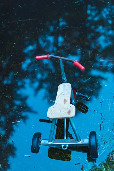 Triciclo de niños abandonados en charco de agua oscura en el bosque . —  Fotos de Stock