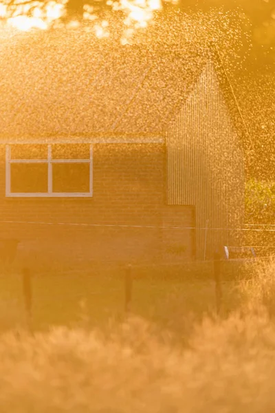 Sprinkler på landsbygden bakgård på solig sommarkväll. — Stockfoto