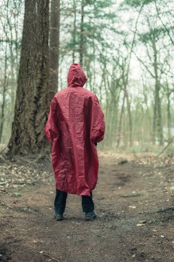 Man in red raincoat on forest trail. Rear view. clipart