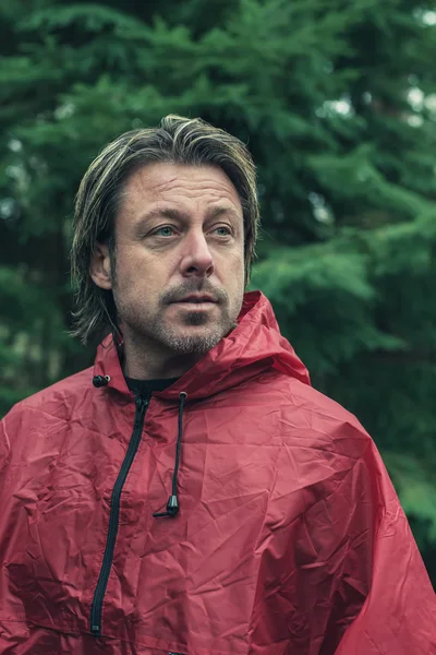 Hombre de mediana edad en impermeable rojo en bosque de abeto . —  Fotos de Stock