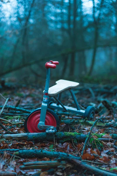 Abandoned kids tricycle in winter forest. — Stock Photo, Image
