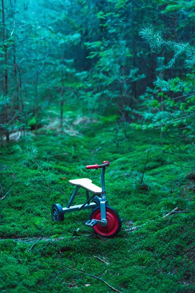 Des enfants abandonnés tricycle sur un sol mousseux dans la forêt de sapins . — Photo