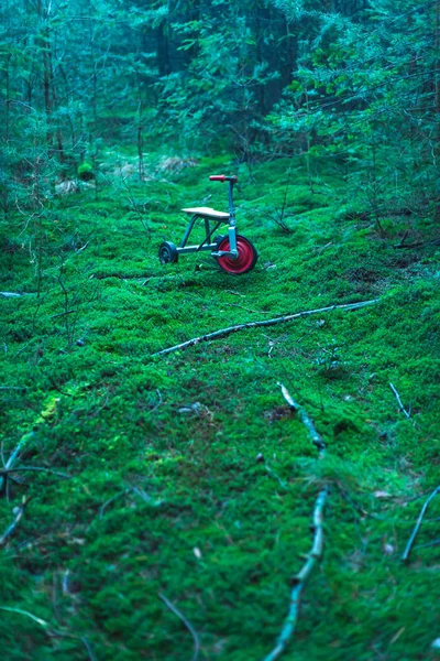 Triciclo de niños abandonados en suelo musgoso en bosque de abeto . —  Fotos de Stock