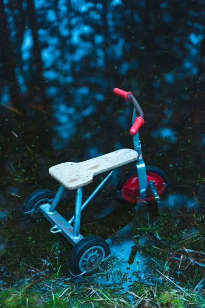 Abandoned kids tricycle in puddle of dark water in forest. — Stock Photo, Image