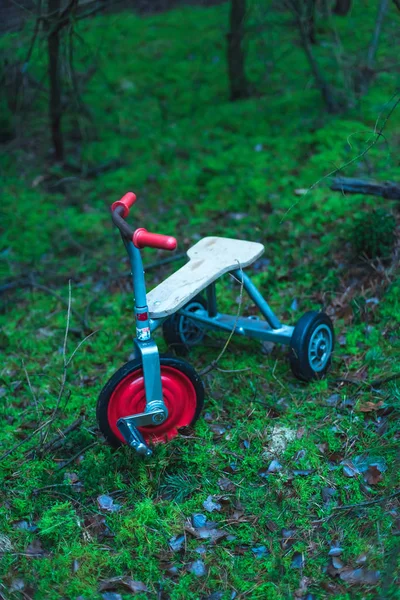 Triciclo de niños abandonados en suelo musgoso en el bosque . —  Fotos de Stock