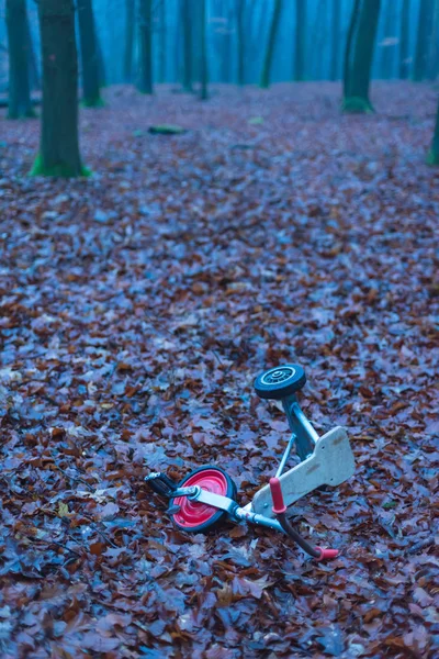 Triciclo de niños en bosque de invierno brumoso con hojas marrones caídas . — Foto de Stock