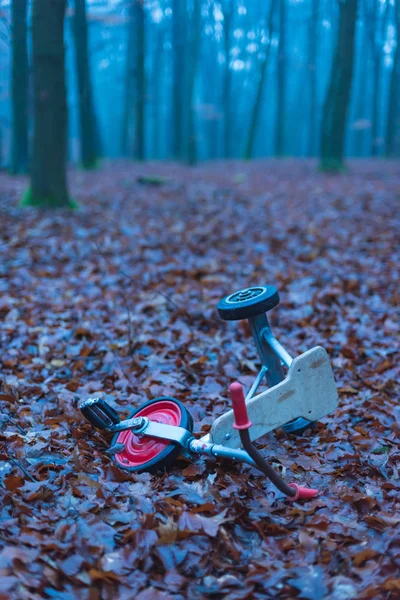 Triciclo de niños en bosque de invierno brumoso con hojas marrones caídas . —  Fotos de Stock