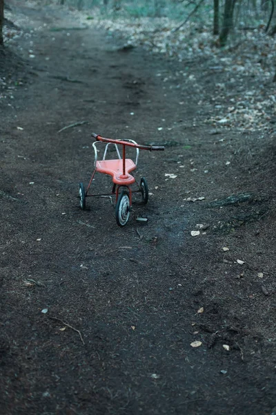 Triciclo abandonado no caminho florestal . — Fotografia de Stock