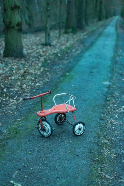 Triciclo abbandonato sul sentiero forestale . — Foto Stock