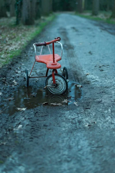 Triciclo abandonado em poça em estrada de terra na floresta . — Fotografia de Stock