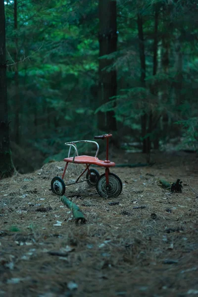 Tricycle abandonné en forêt de sapins sombres . — Photo