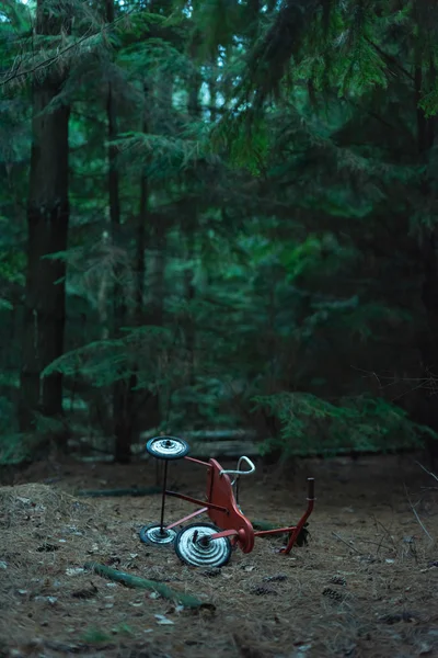 Tricycle abandonné en forêt de sapins sombres . — Photo