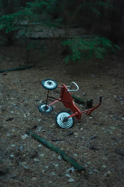 Triciclo abandonado en bosque de abeto oscuro . — Foto de Stock