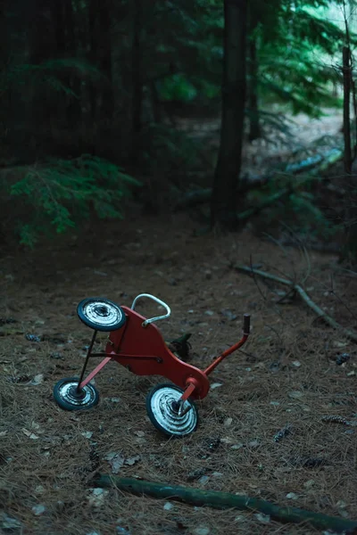 Verlaten driewieler in donker dennenbos. — Stockfoto