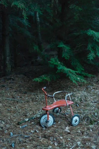 Triciclo abandonado na floresta de abetos escuros . — Fotografia de Stock